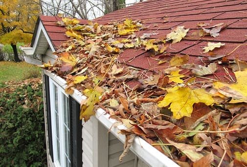 Gutter Cleaning in Burnaby - It is important to have clean gutters to maintain the integrity of your home. As the gutters fill with leaves, sticks, and dirt, water is prevented from draining properly. As a result, the water can spill over the edge of the gutter and start running down the side of your house, both internally and externally. This can lead to dirt stains on your house, cracks in your house, and water leakage in your house, all of which can cost thousands to fix, and all of which could be prevented by a simple gutter clean in the hundreds of dollars. 

At House Prep Gutter & Roof Services we not only remove any debris from your gutters, but we rinse them with a high pressure hose, and then check the down spouts to make sure they are draining properly. This will result in a proper flow of water from your roof to the ground. It will also help protect your house from any water damage.