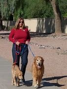 Pet Care - As a Pet Concierge service, I  offer Pet Sitting, Dog walking, Cat care (which includes litter box cleaning),  helping you potty train your puppy, and taking your pets to the groomer and or their vet visits.