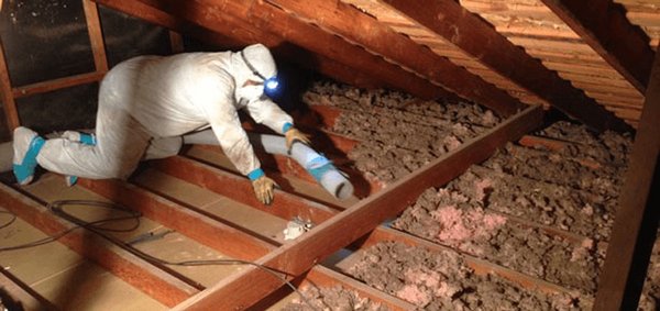 Attic Cleaning - Attic cleaning from old insulation and rodent dropping.