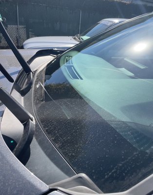 Rav 4 brought back! - Crystal-clear results on this RAV4—windows cleaned inside and out for a streak-free shine and better visibility all around.