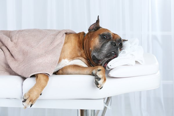Discount - For every four people you recommend, have a free massage in any modality in the comfort of your place!! Discount - For every four people you recommend, have a free massage in any modality in the comfort of your place!!