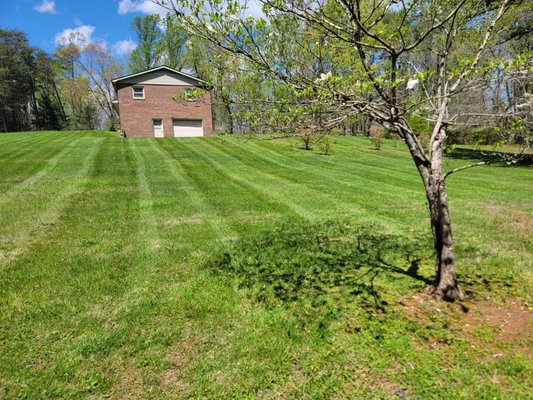 Decking, Retaining Wall, Walkway, Masonry, Landscaping, Tree Removal, Fencing, Mulching, And More - A decking job involves designing, building, and maintaining outdoor decks made from materials such as wood, composite, or PVC. This work includes tasks like planning the layout, measuring and cutting materials, assembling the frame, and installing decking boards. Deck builders ensure that the deck is sturdy, level, and safe for use. Decks enhance outdoor living spaces, providing an attractive and functional area for relaxation, entertainment, and enjoying the outdoors. Decking, Retaining Wall, Walkway, Masonry, Landscaping, Tree Removal, Fencing, Mulching, And More - A decking job involves designing, building, and maintaining outdoor decks made from materials such as wood, composite, or PVC. This work includes tasks like planning the layout, measuring and cutting materials, assembling the frame, and installing decking boards. Deck builders ensure that the deck is sturdy, level, and safe for use. Decks enhance outdoor living spaces, providing an attractive and functional area for relaxation, entertainment, and enjoying the outdoors.