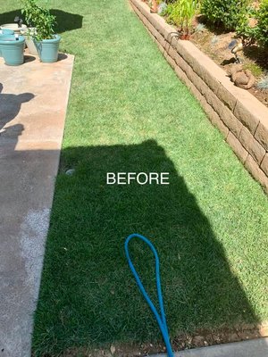 More than Mow, Blow & Go - We are a full service company. Much of what we do is maintenance. We do more than just Mow and Edge, Blow the sidewalk and leave. We enjoy helping customers with every aspect of outdoor care and quality of life. Large or small "Lawns to Ponds" (LTP) is ready to help. More than Mow, Blow & Go - We are a full service company. Much of what we do is maintenance. We do more than just Mow and Edge, Blow the sidewalk and leave. We enjoy helping customers with every aspect of outdoor care and quality of life. Large or small "Lawns to Ponds" (LTP) is ready to help.