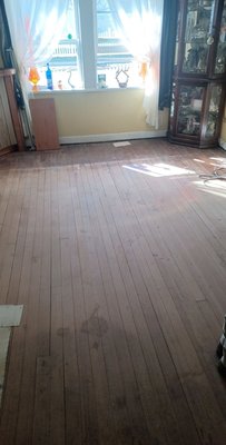 Carpet Removal - if you need carpet removal call Done N Gone for your removal. we remove all staples and tacks and sweep it clean Carpet Removal - if you need carpet removal call Done N Gone for your removal. we remove all staples and tacks and sweep it clean