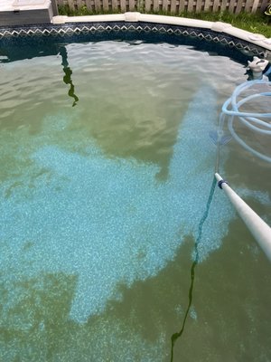 Green algae? We gotchu. Get us before it gets you, let us keep it clean all summer long. - A customer contacted us to take care of this bogus green algae. It was pretty uncool for the algae to ruin their vibe that day. Never fear however, for pool dudes was there and quickly whisked in to drop some seriously bodacious cleanage on that algae. If you need some rad service don’t fear, we are always ready to help make it crystal clear. Call us today and tell us to “Clean it Bruh!” Green algae? We gotchu. Get us before it gets you, let us keep it clean all summer long. - A customer contacted us to take care of this bogus green algae. It was pretty uncool for the algae to ruin their vibe that day. Never fear however, for pool dudes was there and quickly whisked in to drop some seriously bodacious cleanage on that algae. If you need some rad service don’t fear, we are always ready to help make it crystal clear. Call us today and tell us to “Clean it Bruh!”