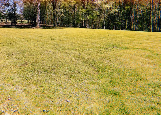 Mowing Membership - Call us to become a T&K member and have your lawn looking great all year long! Mowing Membership - Call us to become a T&K member and have your lawn looking great all year long!