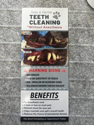 Safe & Gentle Teeth Cleaning w/o Anesthesia For Your Pets! - No anesthesia used deep teeth cleaning.
Safe and gentle operation.
Minimal stress for your pet.
Help maintain your pets over health.
Reduce the chance of periodontal disease. Safe & Gentle Teeth Cleaning w/o Anesthesia For Your Pets! - No anesthesia used deep teeth cleaning.
Safe and gentle operation.
Minimal stress for your pet.
Help maintain your pets over health.
Reduce the chance of periodontal disease.