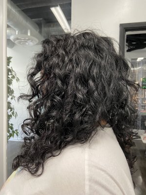 Healthy curls - Looking for a curl specialist? Want to start your journey to healthier curls? Book now Healthy curls - Looking for a curl specialist? Want to start your journey to healthier curls? Book now