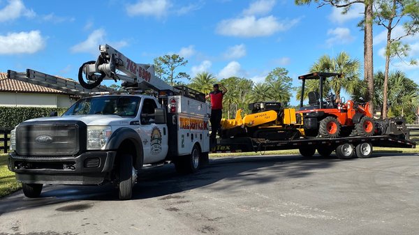 Tree removal - License and insured tree experts certified arborist Tree removal - License and insured tree experts certified arborist