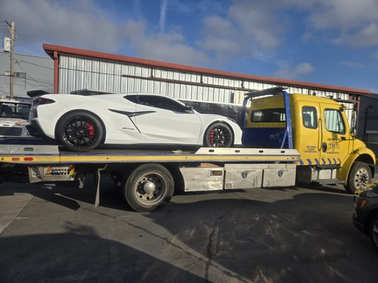 fast cars. - we love nice cars