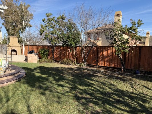 New Fence in Cupertino, CA - 200 linear ft of fence installed. No job is too big and no job is too small, Call Green Hard for all your exterior remodeling needs in the Bay Area. New Fence in Cupertino, CA - 200 linear ft of fence installed. No job is too big and no job is too small, Call Green Hard for all your exterior remodeling needs in the Bay Area.