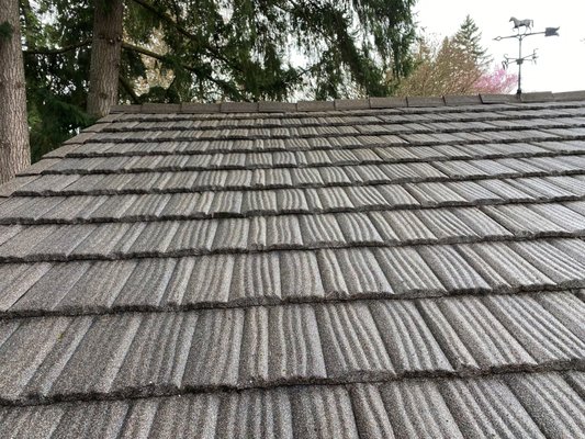 Roof and Gutter Cleaning - Roof cleaning and comprehensive gutter cleaning done by OGE. Roof and Gutter Cleaning - Roof cleaning and comprehensive gutter cleaning done by OGE.
