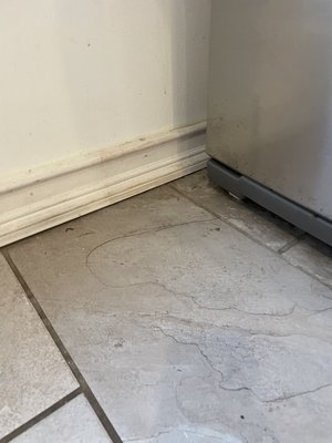 Home Deep Cleaning (BEFORE/AFTER) - The family had a party previously and hasn’t been able to clean. They allowed me to come and make an example of what premium cleaning can feel like and they were pleased. They went on to throwing a Thanksgiving party where we are sure they were complimented on the walls and prestigious feel of a like-new home. Home Deep Cleaning (BEFORE/AFTER) - The family had a party previously and hasn’t been able to clean. They allowed me to come and make an example of what premium cleaning can feel like and they were pleased. They went on to throwing a Thanksgiving party where we are sure they were complimented on the walls and prestigious feel of a like-new home.