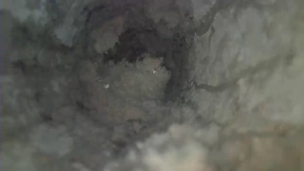 Clogged dryer vent - The homeowner contacted us because their dryer was taking multiple cycles to dry clothes and they believed the appliance needed to be replaced. After inspecting the system, we found the dryer vent was heavily clogged with lint buildup, severely restricting airflow. Our crew performed a full professional dryer vent cleaning, restoring proper airflow and allowing the dryer to work normally again. In many cases, a clogged dryer vent can mimic the symptoms of a failing dryer while also creating a serious fire hazard. Clogged dryer vent - The homeowner contacted us because their dryer was taking multiple cycles to dry clothes and they believed the appliance needed to be replaced. After inspecting the system, we found the dryer vent was heavily clogged with lint buildup, severely restricting airflow. Our crew performed a full professional dryer vent cleaning, restoring proper airflow and allowing the dryer to work normally again. In many cases, a clogged dryer vent can mimic the symptoms of a failing dryer while also creating a serious fire hazard.