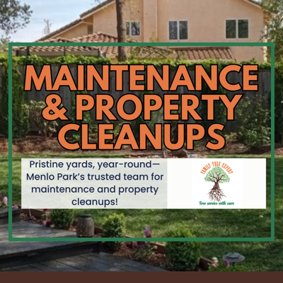 Routine Maintenance & Property Cleanups – Keeping Yards Pristine Year-Round - Routine Maintenance & Property Cleanups – Keeping Yards Pristine Year-Round
A beautiful property isn’t just the result of a one-time makeover—it’s the product of diligent, professional care throughout the year. Family Tree Expert offers monthly landscape maintenance and detailed yard cleanups, keeping homes, businesses, and multi-family properties in Menlo Park looking their best no matter the season.

Our routine services include mowing, edging, weeding, fertilizing, lawn care, tree and shrub trimming, and leaf/detritus removal. We also handle larger cleanups after storms, prepare properties for sale or rent, and tackle overgrown or neglected areas with efficiency and professionalism. Our crews are reliable, punctual, and trained for careful, meticulous results—clients regularly comment on how their yards look better than ever after each visit.

For property managers and busy homeowners, our maintenance packages ensure peace of mind—no guessing when your yard will be addressed, no wrangling multiple service providers, just the ease of knowing everything is taken care of by local experts. Free estimates, budget-friendly pricing, and cheerful communication are all part of what makes Family Tree Expert Menlo Park’s first choice for landscape maintenance.