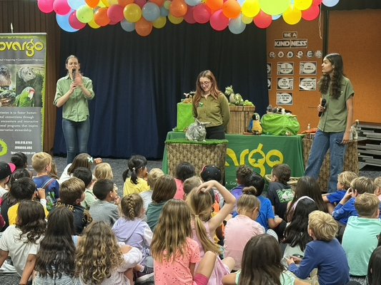 Educational School Events - ZOVARGO at your School or in the Classroom!
Are you a school in San Diego County looking for a unique way to bring Science to LIFE? Look no further! Zovargo is providing Virtual and in-person animal programs for schools - children at home or classrooms looking for an educational animal program.
Our programs are educational and completely interactive! We bring along several of our 'creature teacher' animal ambassadors to help make learning fun!
We can provide live animal educational programs San Diego in a variety of settings:
School Assemblies | Great for the entire school
Individual Classrooms | Hands on learning & fun
School Field Trips | The animals come to you
Multiple Classrooms during a single visit!
Virtual Animal Programs | Learn about the animals
Library Programs
When: Anytime! We are flexible with your schedule!
Where: We bring our programs and animals to YOU
(Virtual Animal Programs or in-person groups)
How: Check our availability below. TEXT for more booking info: 619-618-0745
“A parent in my 2nd grade class recently recommended Zovargo for a animal presentation on animal classes, and I am so glad that we used them!! From the moment they arrived, the Zovargo employees were incredibly organized and prepared. They arrived on time, set everything up in one of our classrooms, put on an INCREDIBLE presentation, and handled clean up very quickly. The presentation itself was just phenomenal. I’ve taught for close to 10 years and have gone on many field trips. The presentation from Zovargo was by far one of the best presentations I have ever seen. Not only did they know the content extremely well, but their classroom management was outstanding. They handled all questions, comments, shout outs, etc with ease. I was pleasantly surprised that I could sit back and enjoy the presentation without having to intervene with classroom management. Everything about our recent experience with Zovargo was top-notch. I would highly recommend Zovargo to any friend or teacher. We will definitely use them next year!” Educational School Events - ZOVARGO at your School or in the Classroom!
Are you a school in San Diego County looking for a unique way to bring Science to LIFE? Look no further! Zovargo is providing Virtual and in-person animal programs for schools - children at home or classrooms looking for an educational animal program.
Our programs are educational and completely interactive! We bring along several of our 'creature teacher' animal ambassadors to help make learning fun!
We can provide live animal educational programs San Diego in a variety of settings:
School Assemblies | Great for the entire school
Individual Classrooms | Hands on learning & fun
School Field Trips | The animals come to you
Multiple Classrooms during a single visit!
Virtual Animal Programs | Learn about the animals
Library Programs
When: Anytime! We are flexible with your schedule!
Where: We bring our programs and animals to YOU
(Virtual Animal Programs or in-person groups)
How: Check our availability below. TEXT for more booking info: 619-618-0745
“A parent in my 2nd grade class recently recommended Zovargo for a animal presentation on animal classes, and I am so glad that we used them!! From the moment they arrived, the Zovargo employees were incredibly organized and prepared. They arrived on time, set everything up in one of our classrooms, put on an INCREDIBLE presentation, and handled clean up very quickly. The presentation itself was just phenomenal. I’ve taught for close to 10 years and have gone on many field trips. The presentation from Zovargo was by far one of the best presentations I have ever seen. Not only did they know the content extremely well, but their classroom management was outstanding. They handled all questions, comments, shout outs, etc with ease. I was pleasantly surprised that I could sit back and enjoy the presentation without having to intervene with classroom management. Everything about our recent experience with Zovargo was top-notch. I would highly recommend Zovargo to any friend or teacher. We will definitely use them next year!”