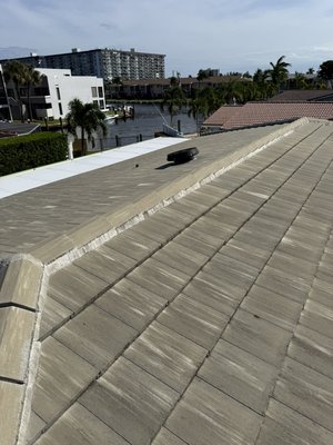 Pompano Beach Residence - At Fernando’s Professional Services, we recently tackled a dirty roof that was in desperate need of revitalization. Our soft washing technique effectively removed years of grime, mold, and mildew, restoring the roof to its former glory. The transformation is striking; the before and after photos showcase the dramatic difference our services can make. With a clean roof, not only does the home look more appealing, but it’s also better protected against potential damage. Check out the incredible results we achieved! Pompano Beach Residence - At Fernando’s Professional Services, we recently tackled a dirty roof that was in desperate need of revitalization. Our soft washing technique effectively removed years of grime, mold, and mildew, restoring the roof to its former glory. The transformation is striking; the before and after photos showcase the dramatic difference our services can make. With a clean roof, not only does the home look more appealing, but it’s also better protected against potential damage. Check out the incredible results we achieved!