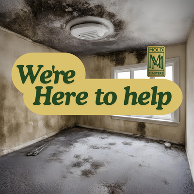 Mold inspections - PNW Mold Masters: Fast and Easy Home Mold & Air Contaminant Testing
Ensure the safety and air quality of your home with PNW Mold Masters. We specialize in quick, reliable testing for mold and other air contaminants, providing you with peace of mind and a healthier living environment. Mold inspections - PNW Mold Masters: Fast and Easy Home Mold & Air Contaminant Testing
Ensure the safety and air quality of your home with PNW Mold Masters. We specialize in quick, reliable testing for mold and other air contaminants, providing you with peace of mind and a healthier living environment.