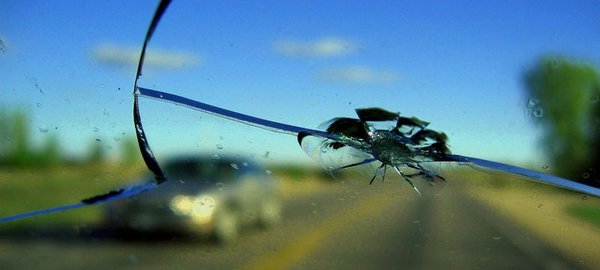 Windshield Repair - Get top-notch windshield repair with Gecko Glass, Prescott's trusted choice for fast and reliable service. Whether it’s a chip or crack, we specialize in quick, efficient repairs to get your vehicle back in shape.
As a local business, we’re proud to serve the Prescott community with high-quality repairs that prioritize your safety and satisfaction. Our skilled team uses the latest tools to restore your windshield’s clarity and strength, so you can drive with confidence.
Conveniently located and easy to schedule, Gecko Glass makes fixing your windshield hassle-free. Don’t let a chip slow you down—contact us today and get back on the road with a crystal-clear view! Windshield Repair - Get top-notch windshield repair with Gecko Glass, Prescott's trusted choice for fast and reliable service. Whether it’s a chip or crack, we specialize in quick, efficient repairs to get your vehicle back in shape.
As a local business, we’re proud to serve the Prescott community with high-quality repairs that prioritize your safety and satisfaction. Our skilled team uses the latest tools to restore your windshield’s clarity and strength, so you can drive with confidence.
Conveniently located and easy to schedule, Gecko Glass makes fixing your windshield hassle-free. Don’t let a chip slow you down—contact us today and get back on the road with a crystal-clear view!