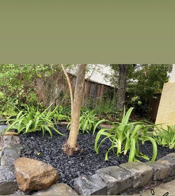 Frontyard Bark & Stones - Front courtyard remodel. The first thing you see in your front yard when you open your door should be nice! Call today! Frontyard Bark & Stones - Front courtyard remodel. The first thing you see in your front yard when you open your door should be nice! Call today!