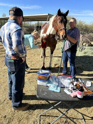 Emergency Ranch Help - While shoeing a horse one morning an accident occurred with a mare waiting to be seen.
The mare tried to jump a gate and landed on its chest, when the horse realized it was caught in the fence she vigorously tried to break loose only to open up her chest in the process l.
Seeing this the president of VZ Ranch ran over to hold pressure on the open wound while others called an Emergency vet to come out and stitch up the chest. Emergency Ranch Help - While shoeing a horse one morning an accident occurred with a mare waiting to be seen.
The mare tried to jump a gate and landed on its chest, when the horse realized it was caught in the fence she vigorously tried to break loose only to open up her chest in the process l.
Seeing this the president of VZ Ranch ran over to hold pressure on the open wound while others called an Emergency vet to come out and stitch up the chest.