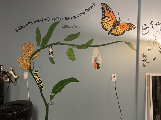 Private Spa Mural - This was a great project of the life cycle of a butterfly. Private Spa Mural - This was a great project of the life cycle of a butterfly.