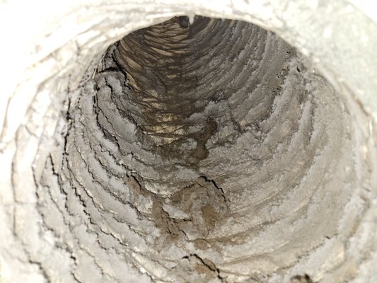 town home cleaning - A town home request for cleaning. These were the air returns for a 928sf place. Imagine the air flowing over this mess, circulating in your home!! Whether you live in a house, apartment or town home, have your ducts inspected at the very least to ensure this is not what lives in there!