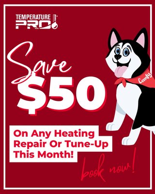 Heating & Air Conditioning Experts You Can Trust - At TemperaturePro, we are in business because we are passionate about your comfort and wellbeing. Since our inception, we have been helping our friends and neighbors stay comfortable, breathe easily, and stay healthy. We take a great deal of pride in our work and have become a leader in our community thanks to the many relationships we have built with home and business owners. Relationships are the cornerstone of our business.
When we come to your home, we will take care to respect your time and property at every stage. That means we will come to every appointment on time, communicate with our customers throughout the process, work diligently and always clean up before we leave. We are always happy to answer any questions and never proceed without getting the customer’s OK. Our philosophy has helped us successfully serve many customers, and we will be happy to bring the same level of service to your home.
Message us or call us and let's figure it out! 708-540-3435 Heating & Air Conditioning Experts You Can Trust - At TemperaturePro, we are in business because we are passionate about your comfort and wellbeing. Since our inception, we have been helping our friends and neighbors stay comfortable, breathe easily, and stay healthy. We take a great deal of pride in our work and have become a leader in our community thanks to the many relationships we have built with home and business owners. Relationships are the cornerstone of our business.
When we come to your home, we will take care to respect your time and property at every stage. That means we will come to every appointment on time, communicate with our customers throughout the process, work diligently and always clean up before we leave. We are always happy to answer any questions and never proceed without getting the customer’s OK. Our philosophy has helped us successfully serve many customers, and we will be happy to bring the same level of service to your home.
Message us or call us and let's figure it out! 708-540-3435