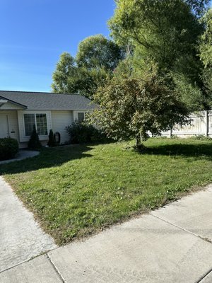 Discount monster grass first time mow! - This particular mom had an out of control backyard! With her permission we were able to show the jungle of a backyard before being flattened and edged to perfection! Discount monster grass first time mow! - This particular mom had an out of control backyard! With her permission we were able to show the jungle of a backyard before being flattened and edged to perfection!
