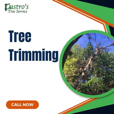 Providing the best tree trimming services in Dallas! - Call now to get an estimate on your tree trimming needs! Providing the best tree trimming services in Dallas! - Call now to get an estimate on your tree trimming needs!