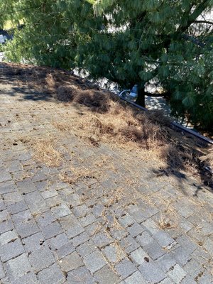Gutters - Cleaning your gutters on time avoids plugged downspouts. Gutters - Cleaning your gutters on time avoids plugged downspouts.