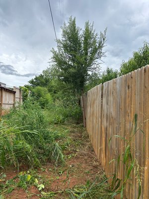 Yard clearance - We were out clearing a alley way for a HOA Yard clearance - We were out clearing a alley way for a HOA
