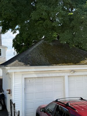 Roof cleaning and moss removal services - Roof cleaning done on the same day it was scheduled! Roof cleaning and moss removal services - Roof cleaning done on the same day it was scheduled!