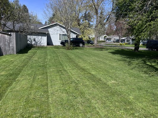 Lawn Care - we are up for a challenge! any request lets talk about it ​and see how we can make your garden a one of a kind.



When it comes to transforming your garden into a ​unique and stunning space, we are more than ready to ​take on the challenge! No request is too big or too small ​for us. Let's have a conversation about your ideas and ​preferences, and together we can create a garden that ​truly stands out. Whether you're looking for a vibrant ​flower garden, a serene oasis, or a functional outdoor ​living space, we are here to turn your vision into reality. ​Let's work together to make your garden a one-of-a-​kind masterpiece that you can enjoy for years to come!
