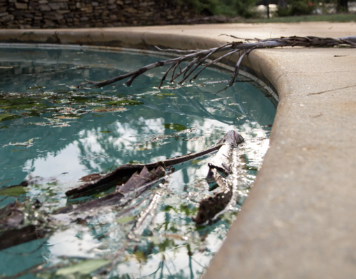 Hurricane Disaster Restoration & Emergency Repairs - In South Florida, hurricane damage can happen fast—but so can our response. Elite Everlasting Pools offers expert hurricane disaster restoration, including debris removal, system inspections, water clarity restoration, and equipment repair or replacement. Whether your pump is flooded or your pool has filled with storm debris, we act fast to bring your outdoor oasis back to life. Our licensed team specializes in post-storm recovery that’s safe, thorough, and built to last.
If your pool’s been hit by a storm, don’t wait—call Elite Everlasting Pools today for fast, professional restoration. Hurricane Disaster Restoration & Emergency Repairs - In South Florida, hurricane damage can happen fast—but so can our response. Elite Everlasting Pools offers expert hurricane disaster restoration, including debris removal, system inspections, water clarity restoration, and equipment repair or replacement. Whether your pump is flooded or your pool has filled with storm debris, we act fast to bring your outdoor oasis back to life. Our licensed team specializes in post-storm recovery that’s safe, thorough, and built to last.
If your pool’s been hit by a storm, don’t wait—call Elite Everlasting Pools today for fast, professional restoration.