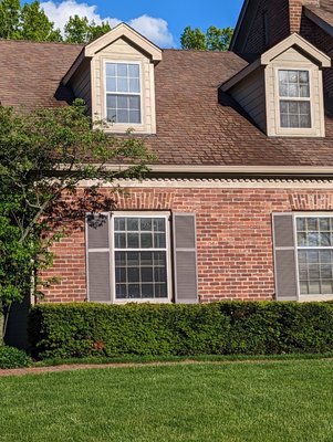 algae removal from dormers - algae removal from dormers algae removal from dormers - algae removal from dormers