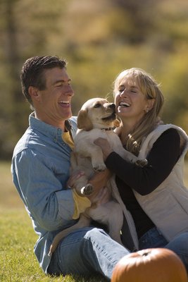 Couples Counseling & Marriage Therapy - In my 50 years of marriage counseling experience, I have found that even couples on the brink of divorce have actually been able to fall in love with each other all over again – when they LEARN TO LOVE EACH OTHER IN WAYS THAT ARE PRECISELY MOST SATISFYING TO THEM, referencing the Five Love Languages by Gary Chapman. Couples Counseling & Marriage Therapy - In my 50 years of marriage counseling experience, I have found that even couples on the brink of divorce have actually been able to fall in love with each other all over again – when they LEARN TO LOVE EACH OTHER IN WAYS THAT ARE PRECISELY MOST SATISFYING TO THEM, referencing the Five Love Languages by Gary Chapman.