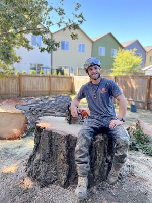 Tree Stump Grinding - Urban Timber Tree Service provides expert stump grinding services throughout Portland and the surrounding metro area. After tree removal, stumps can be unsightly, take up valuable yard space, and even attract pests or fungal growth. Our team uses professional-grade grinding equipment to efficiently eliminate tree stumps below ground level, allowing you to reclaim and replant the area with ease. Whether it’s one stump or several, we tailor our approach to your landscape and leave your property clean and level.
Our ISA Certified Arborists ensure each project is handled with care, minimizing disruption to nearby roots, hardscaping, or surrounding vegetation. We complete every stump grinding service with thorough cleanup and offer guidance on soil restoration or replanting options. If you’re looking for a fast, effective, and hassle-free way to clear your yard of unwanted stumps, Urban Timber Tree Service is your trusted local expert. Tree Stump Grinding - Urban Timber Tree Service provides expert stump grinding services throughout Portland and the surrounding metro area. After tree removal, stumps can be unsightly, take up valuable yard space, and even attract pests or fungal growth. Our team uses professional-grade grinding equipment to efficiently eliminate tree stumps below ground level, allowing you to reclaim and replant the area with ease. Whether it’s one stump or several, we tailor our approach to your landscape and leave your property clean and level.
Our ISA Certified Arborists ensure each project is handled with care, minimizing disruption to nearby roots, hardscaping, or surrounding vegetation. We complete every stump grinding service with thorough cleanup and offer guidance on soil restoration or replanting options. If you’re looking for a fast, effective, and hassle-free way to clear your yard of unwanted stumps, Urban Timber Tree Service is your trusted local expert.