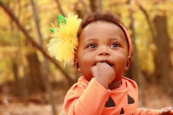 Fall Photos! - Fall is here! Order prints online for great holiday presents!