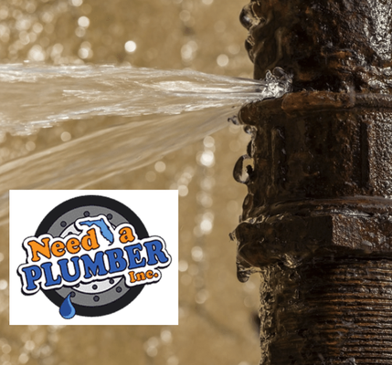 Leak Detection in in Ft Lauderdale, Pompano Beach, Tamarac, Plantation, Boca Raton, Wilton Manors, Coral Springs - When you suspect that your home has a water leak somewhere in your plumbing system then it’s time to call a professional to get the help that you need. Contact us today.
Leak Detection in Ft Lauderdale, Pompano Beach, Tamarac, Plantation, Boca Raton, Wilton Manors, Coral Springs Leak Detection in in Ft Lauderdale, Pompano Beach, Tamarac, Plantation, Boca Raton, Wilton Manors, Coral Springs - When you suspect that your home has a water leak somewhere in your plumbing system then it’s time to call a professional to get the help that you need. Contact us today.
Leak Detection in Ft Lauderdale, Pompano Beach, Tamarac, Plantation, Boca Raton, Wilton Manors, Coral Springs