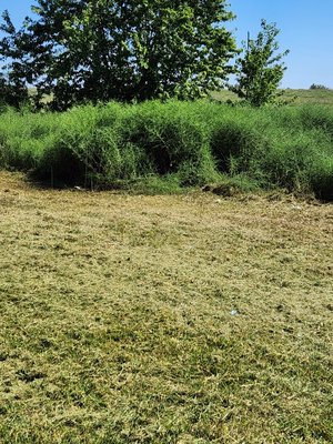 customer yard was really tall - customer called me because he wanted his yard back customer yard was really tall - customer called me because he wanted his yard back