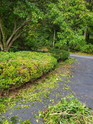 Landscaping - Call now for all of your landscaping needs! Landscaping - Call now for all of your landscaping needs!