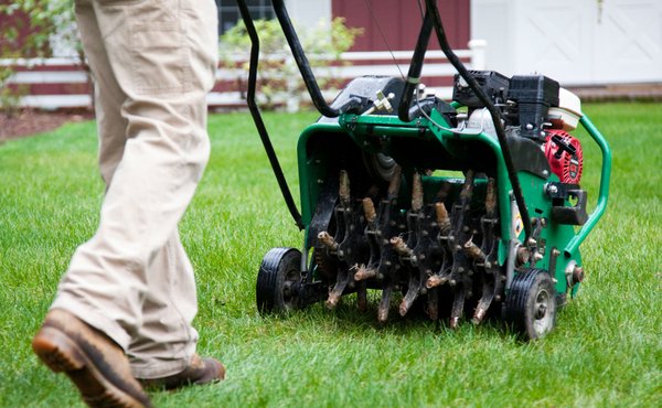 Lawnber 2023 Spring Cleanup Starts at $200, Order Online - Lawnber offers spring cleanup service starting at $200.
It is that time of the year to wake up your lawn with a much needed spring cleanup to revive it from the long cold winter. Your lawn is a live system that will grow well if proper care is given to flight against the environment and weeds. First thing is to make the soil and the grass root system is revived by these 2 very important dethatching and aerating service. Lawnber 2023 Spring Cleanup Starts at $200, Order Online - Lawnber offers spring cleanup service starting at $200.
It is that time of the year to wake up your lawn with a much needed spring cleanup to revive it from the long cold winter. Your lawn is a live system that will grow well if proper care is given to flight against the environment and weeds. First thing is to make the soil and the grass root system is revived by these 2 very important dethatching and aerating service.