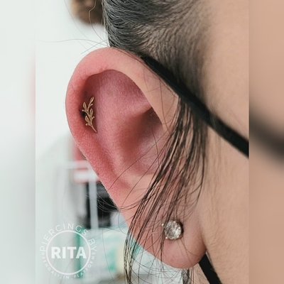Premium Jewelry - Come check out our body piercing jewelry today! Premium Jewelry - Come check out our body piercing jewelry today!