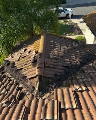 Roof Maintenance - Tile roof with obstructive debris in 2 valleys. Before, during and after photos