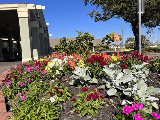 Galveston country club last year! - The team went out to the country club and we all worked hard to get the plants ready! Galveston country club last year! - The team went out to the country club and we all worked hard to get the plants ready!