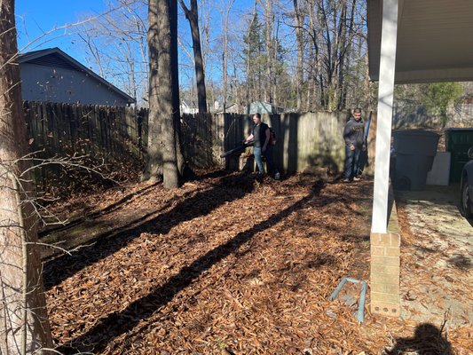 Leaf Removal - This was done on a house that had not had any cleanup done in over a year. Keeping the leaves off of your grass is very important to reduce mold and allergens and ensure proper grass growth. Leaf Removal - This was done on a house that had not had any cleanup done in over a year. Keeping the leaves off of your grass is very important to reduce mold and allergens and ensure proper grass growth.