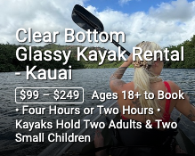 Clear Bottom Glassy Kayaks- Kauai - Non-Guided Rental
At Glassy Kayaks we aim to give you a unique and easy experience with constant visibility of the marine life below you, even if you are not comfortable or capable of swimming in the deep blue! Have been a great experience for elderly adults, young children, or those who are not swimmers to still get a glimpse of the true beauty of the Hawaiian Islands; Under the surface!
Our Kayaks are the best quality and have been specially designed for us to prevent flipping with outrigger stabilizer floats, making it easy to get in and out while in the water without compromising the visibility experience.