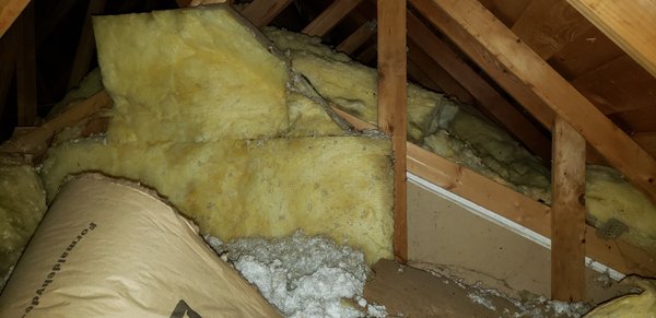 Attic Insulation Removal - In this attic we removed contaminated insulation and debris. Attic Insulation Removal - In this attic we removed contaminated insulation and debris.