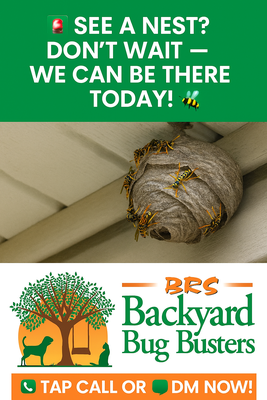Pest Control - 🐝 Bee, Wasp & Hornet Nest Removal – Emergency Service Available!

Bees, yellow jackets, and hornets are busy building nests on and inside homes — under eaves, in siding gaps, attics, and even underground. These stinging insects can be aggressive when disturbed, posing a risk to your family, pets, and visitors.

At BRS Backyard Bug Busters, we provide immediate, emergency nest removal and control to keep your home safe. Our team is fully equipped to handle stinging insect problems quickly, safely, and effectively.

📞 Call now for same-day service and enjoy your home without the buzz!